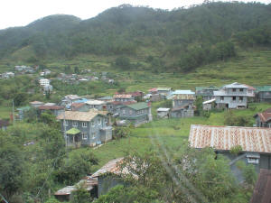  Canaway Resthouse View from rear window