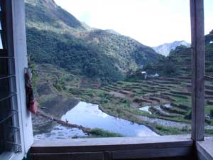 Cristina's Main Village Inn - view from verandah across the rice terraces