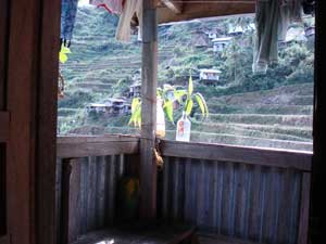 Gilbert Homestay - Hillside View from outside balcony