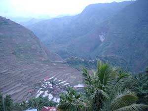Beautiful view from from Batad Pension - early January - rice planting season