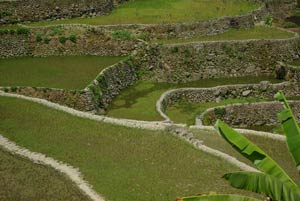 The magnificent stone work of these ancient rice terraces