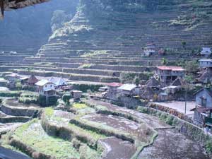 Another rice terraces view from Sanson InSamson Inn