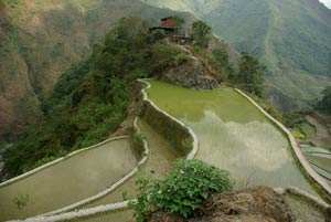 Waterfallside Lodge - the trail to the Waterfall is on the left