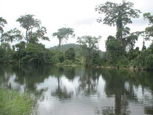 Lagoon - Lake Manguao